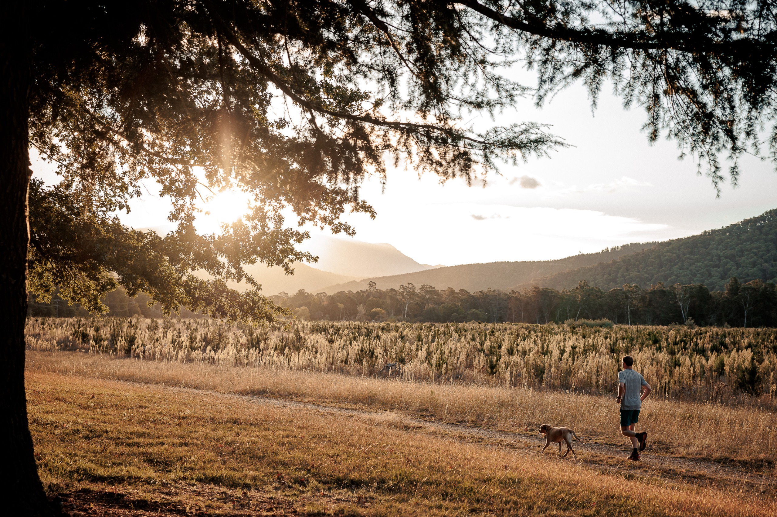 Alpine Shire Land Development Strategy Engage Alpine