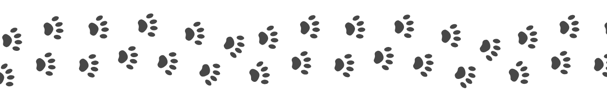 Black cat footprints walking across the image from left to right.